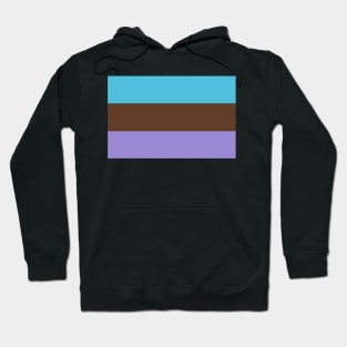 Androsexual Pride Flag Hoodie